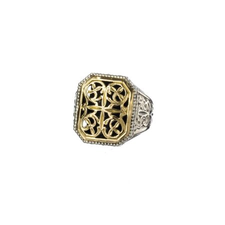 Garden shadows polygon ring in 18K Gold and Sterling Silver
