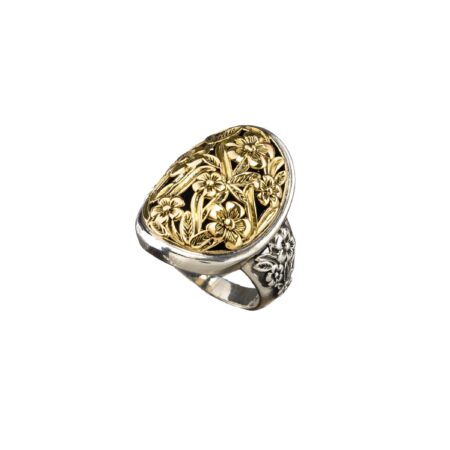 Harmony big  oval ring in 18K Gold and Sterling Silver