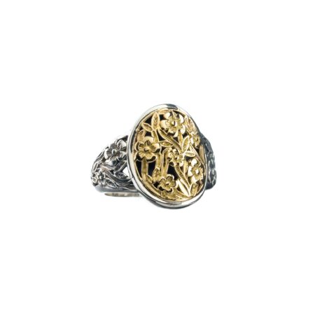 Harmony ring in 18K Gold and Sterling Silver