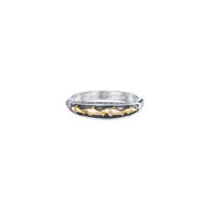 Dolphins ring in 18K Gold and Sterling Silver