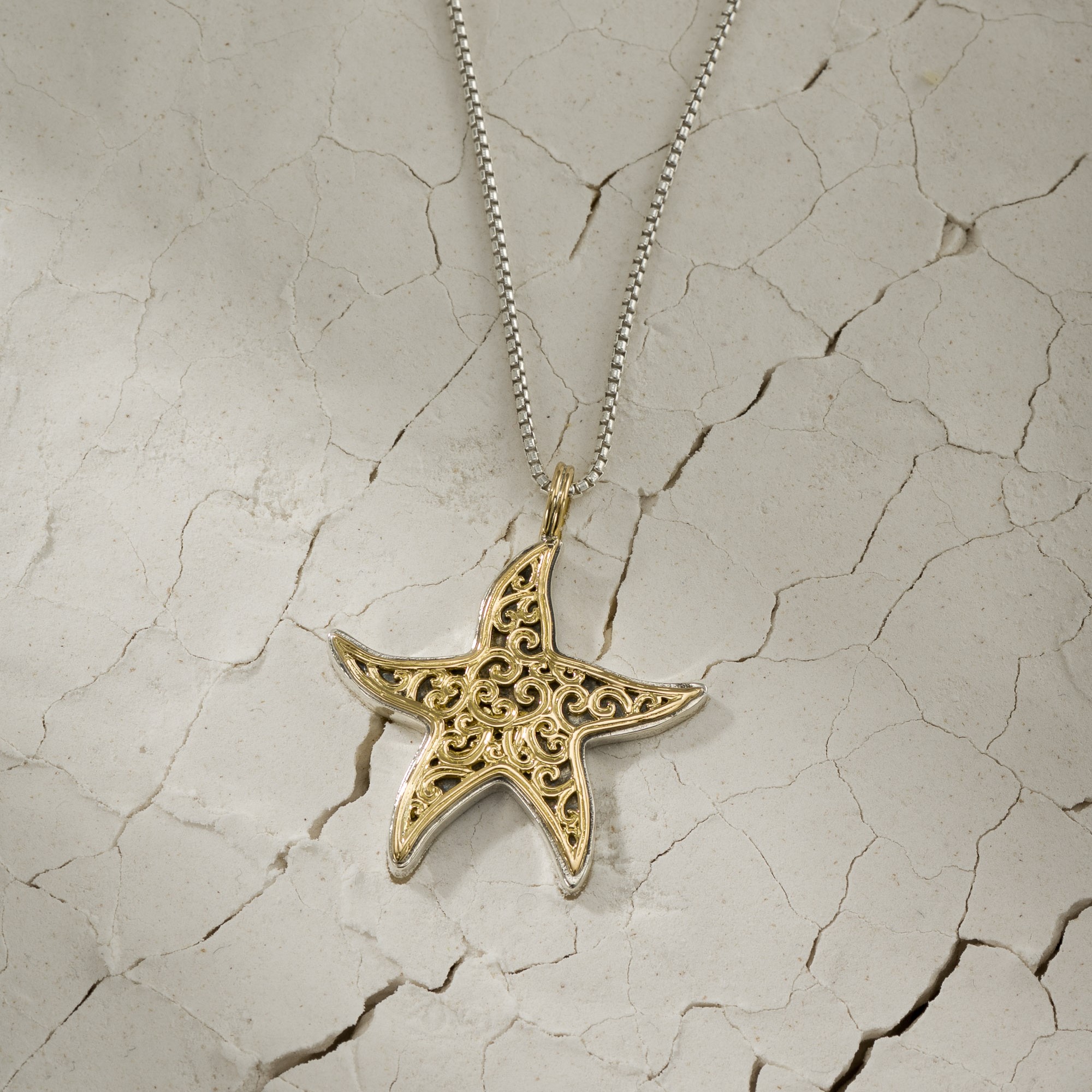 Starfish Pendant in 18K Gold and Sterling Silver