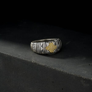 Alexandrian Wide Band Ring in 18K Gold and Sterling Silver - Image 3
