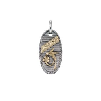Hummingbird Talisman Pendant in 18K Gold and Sterling Silver
